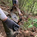 소백산국립공원 북부사무소 이미지