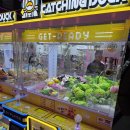 롯데월드 뽑기방 이미지