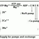 에너지약국 이미지
