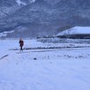 고향 - 서구 | 고향