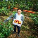 카세로지 이미지