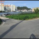 영가로(동부동) 이미지