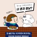 혼자멍냥 이미지