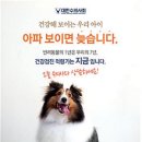 윤슬동물병원 이미지