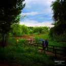 퍼폼2019 : 린킨아웃 | 190901_오븐마루 / 서울숲 / 왕십리정부네곱창 / 일민미술관 퍼폼2019