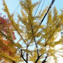 송현프라자 이미지