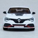 Renault Megane R.S Trophy-R 2019(Record version) 이미지