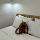 B&B헤어코디 | [제주 한림 숙소] 에어비앤비로 찾은 가성비 숙소, 제주 서쪽 푸른밤 | 화장실 2개, 방2개