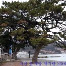 큰솔모텔 이미지