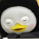 굿나잇😴😴 이미지