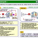 [이문제 맞힌다] 1. 태아에 권리능력 이미지