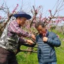 작은별장 이미지