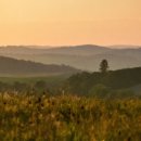 디오메디컬 이미지