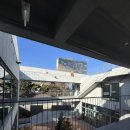 적토마 짐 | 한남 애견동반카페 낫배드커피 한남 후기