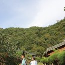 경남 가족 숙소 하동 한옥펜션 들꽃산방펜션 후기