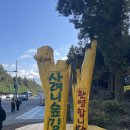 한라산둘레길 사려니숲길 | 제주 한라산 둘레길 남조로 입구로 들어가는 관광지 사려니숲길 가는법 주차