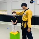 킹덤태권도 이미지