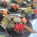 신정종합사회복지관 | [신정종합사회복지관 출강] 손끝에서 피어나는 작은 숲, '나만의 다육정원' 만들기_실버원예동아리활동