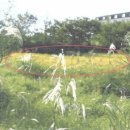 11260-2-1-8 이미지