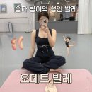 오데트 | 송파 성인 발레 학원 오데트 발레 입문반 수업 후기
