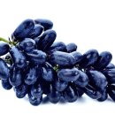 사파이어 전자 이미지