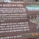 평동초등학교 이미지