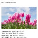 오늘의 小史 이미지