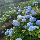 이순신공원 이미지