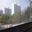 라온약품 이미지