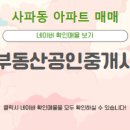 사파동286 이미지