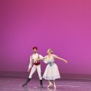 박윤재 | 더 나잇 인 서울 Ballet Gala 공연후기 (focus on 민철리노)