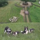 프로농장 이미지