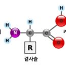 주식회사 하이 이미지