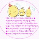 교동찹쌀순대 이미지