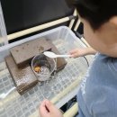 우포2로 | 창녕 우포곤충나라 후기 총정리｜경남 창녕여행 곤충체험 위치·입장료·꿀팁까지