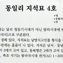동일리 지석묘 3호 이미지