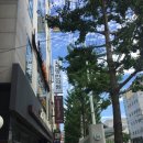 진명한의원 이미지