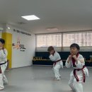 멘토 드림태권도장 이미지