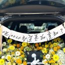 플로피아 이미지