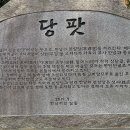 한남리 본향당 이미지