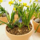 개금2동-9 이미지