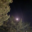 지에스(GS)25 영덕장사점 이미지