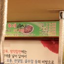 낙동생오리 이미지