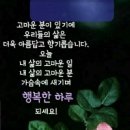 4월 8일 톡톡수다방 끝말잇기 ㅡ 삶을 결정짓는 10가지 이미지