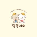 멍댕이 애견유치원 네이버블로그
