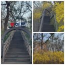 십자약국 이미지