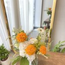 사파동356 이미지