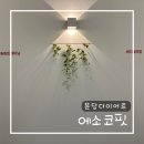 바디트레이닝(미) | 분당 미금 다이어트 관리 추천｜에소코핏 솔직 체험 후기