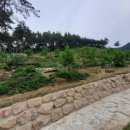 대지 이미지