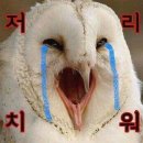 손큰 할매 순대국 이미지